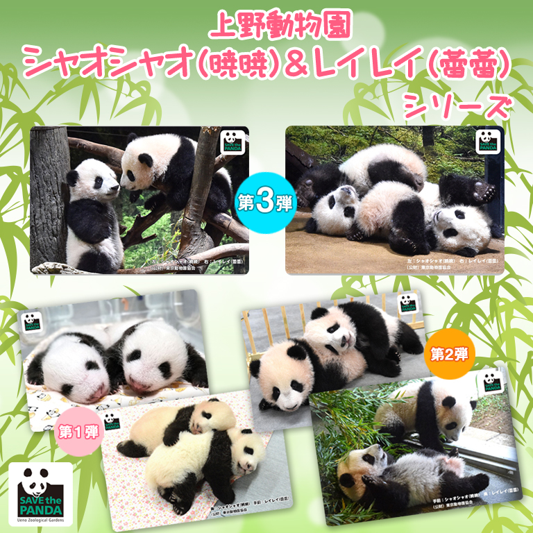 上野動物園 双子の赤ちゃんパンダ シャオシャオ レイレイ デザイン Quoカードpayで登場 クオ カード ペイ オンラインストア